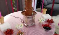 Even our smallest chocolate fountain named The Entertainer will keep guests entertained as they enjoy the warm flowing chocolate.
